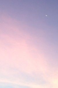 汉堡主场大胜，球队重获信心