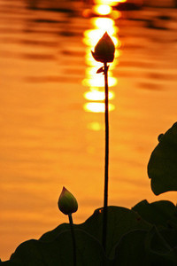 巴拉多利德主场大胜科尔多瓦，积分追赶