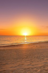 篮网队全队训练备战，力争夺下一场胜利