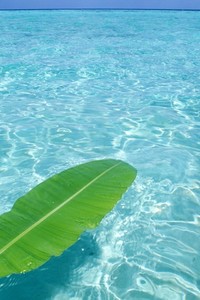 步行者队主场败北，球员反思自身问题