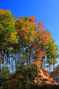 巴拉多利德主场大胜科尔多瓦，积分追赶