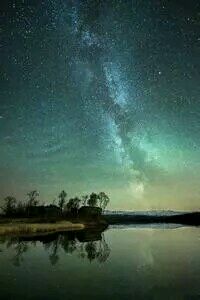 马刺队助教爆料内部情况，引来外界关注