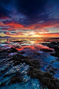 沙尔克磨破阵容，为夺冠实力拼杀