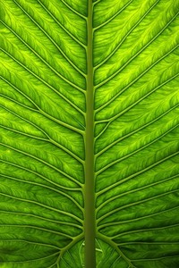 比比亚备战欧预赛，备受瞩目