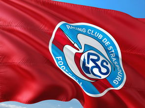 1xbet体育官网-帕尔梅拉斯战术布置详解,主帅重点强调防守反击