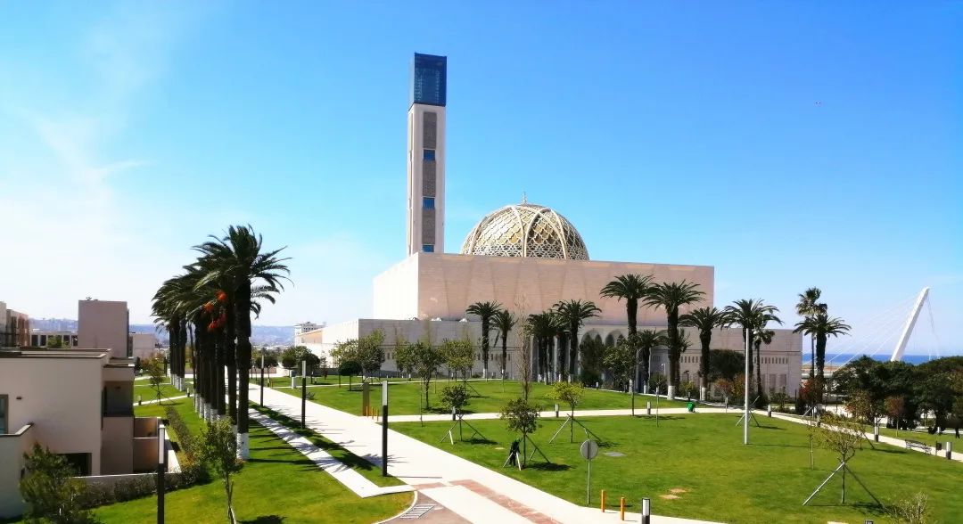 1xbet体育下载-葡萄牙阿尔及利亚双赢，波尔图悍将和斋克出生落款到的简单介绍