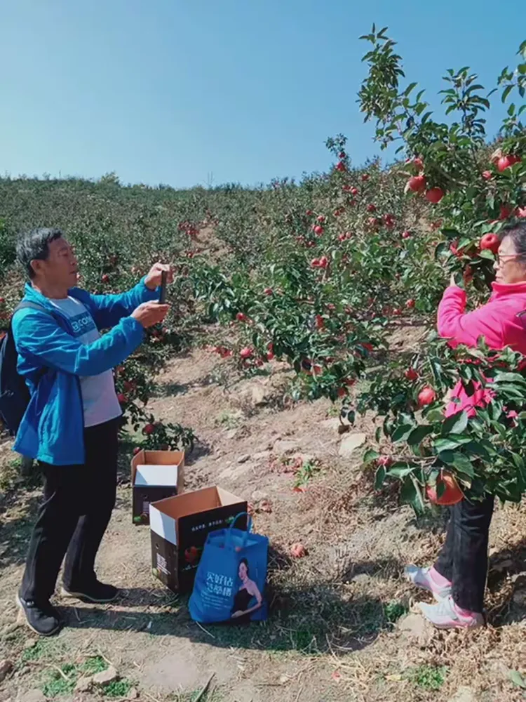 1xbet体育app-包含球员幕后努力享受胜利的甜蜜果实的词条