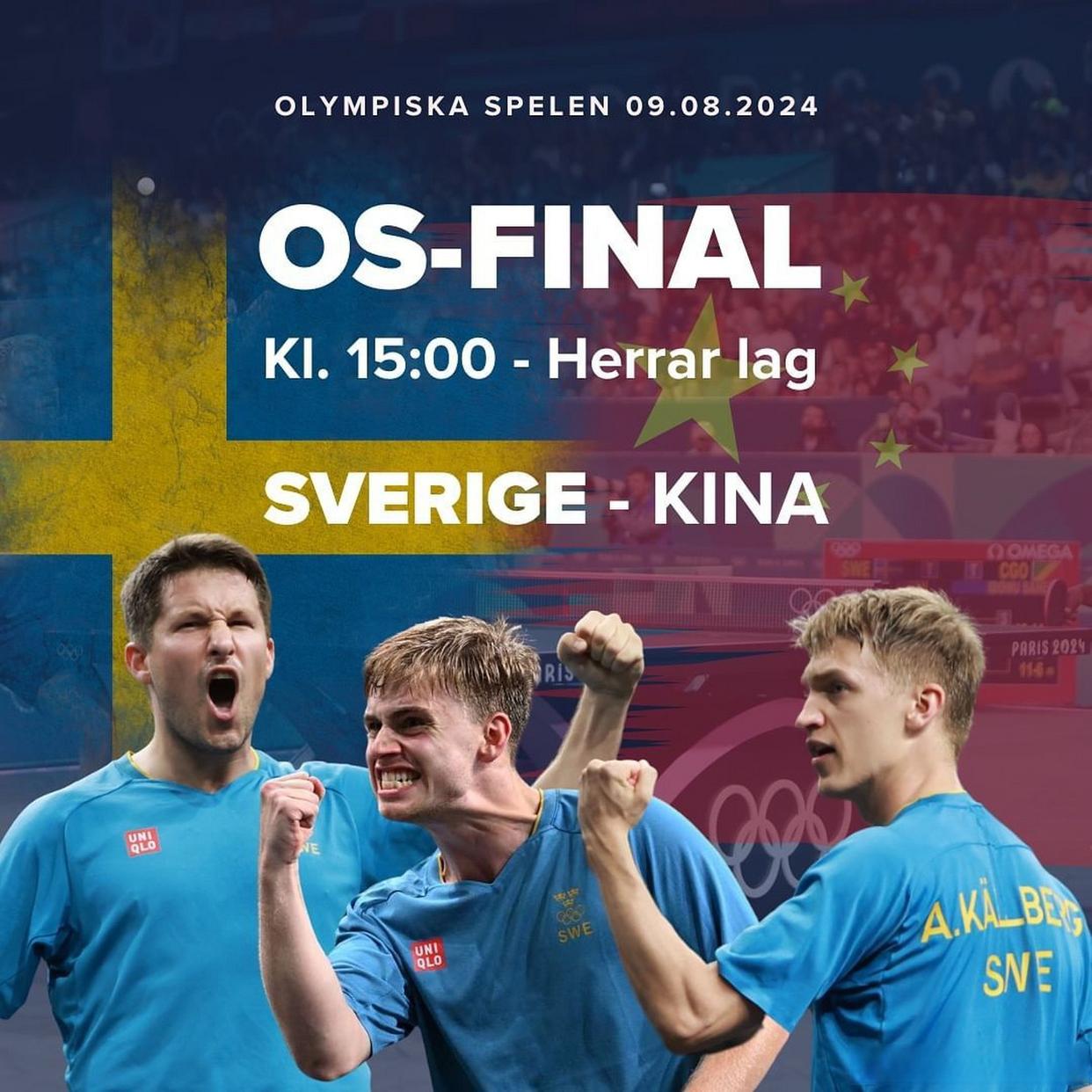 瑞典队险胜对手，晋级之路依旧漫长的简单介绍